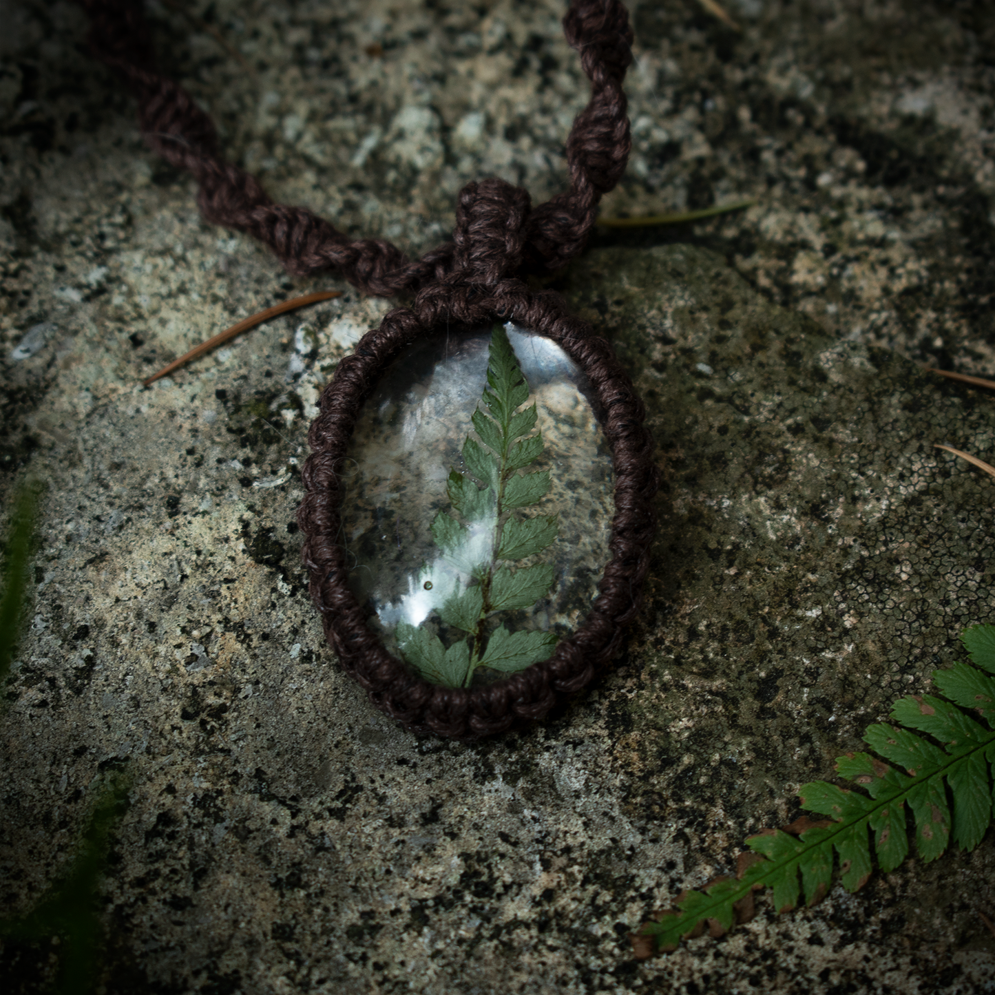 Forest Fern Necklace (Brown)
