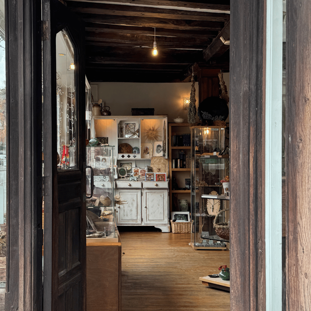 Meet Mugwort & Mistletoe: A Spiritual Sanctuary in the Heart of Ipswich