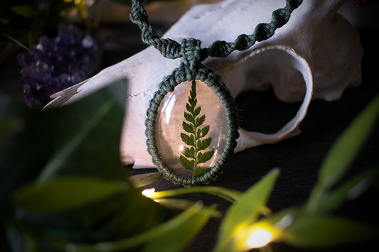 Finding My Craft, Finding Myself: One Year of Eldermother