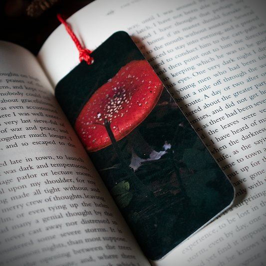 Amanita Muscaria Bookmark