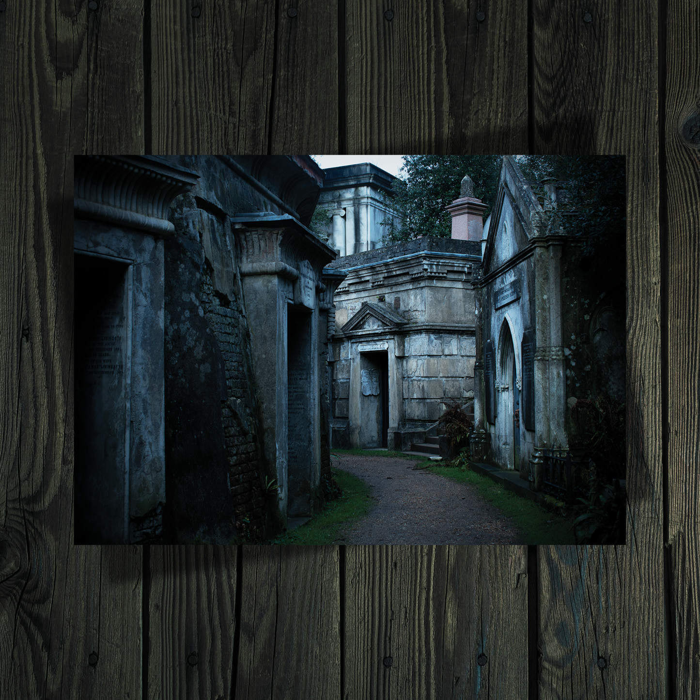 Egyptian Avenue [A4 Print]