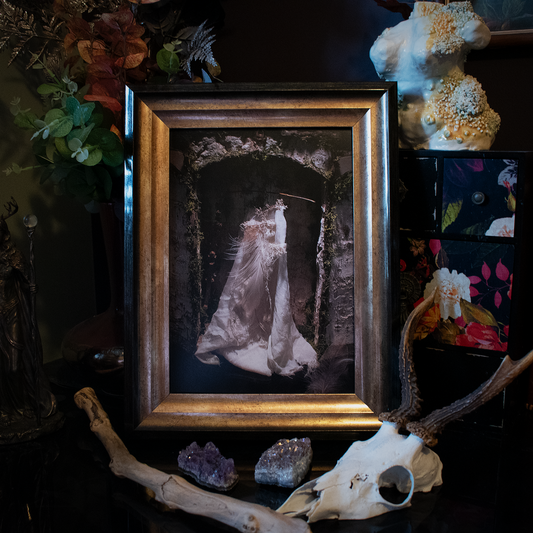 Fae Silks [A4 Print]