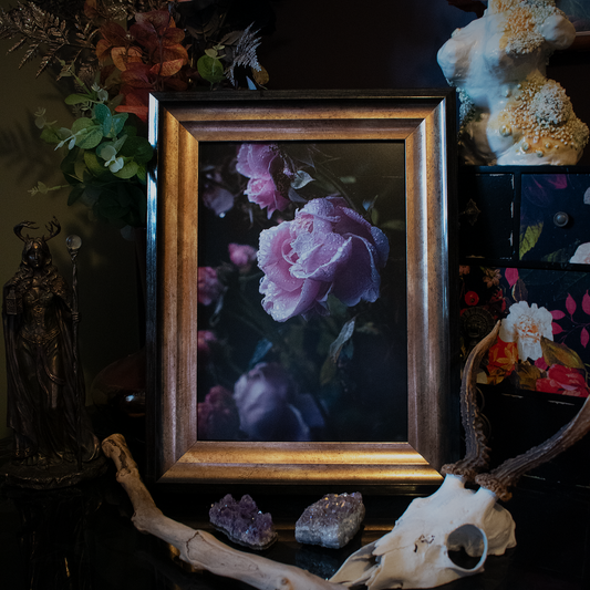 Summer's End [A4 Print]