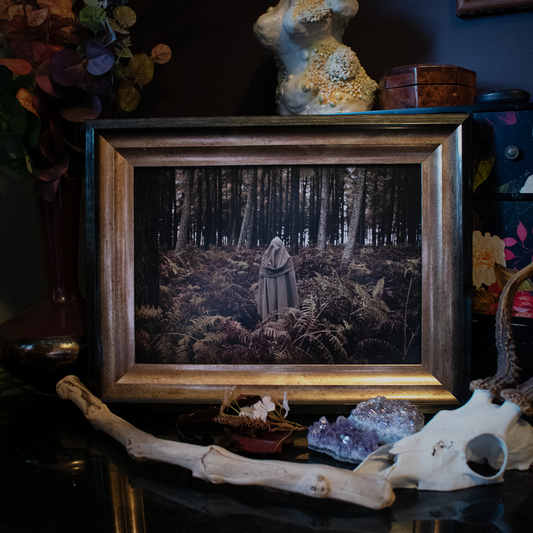 The Wanderer [A4 Print]