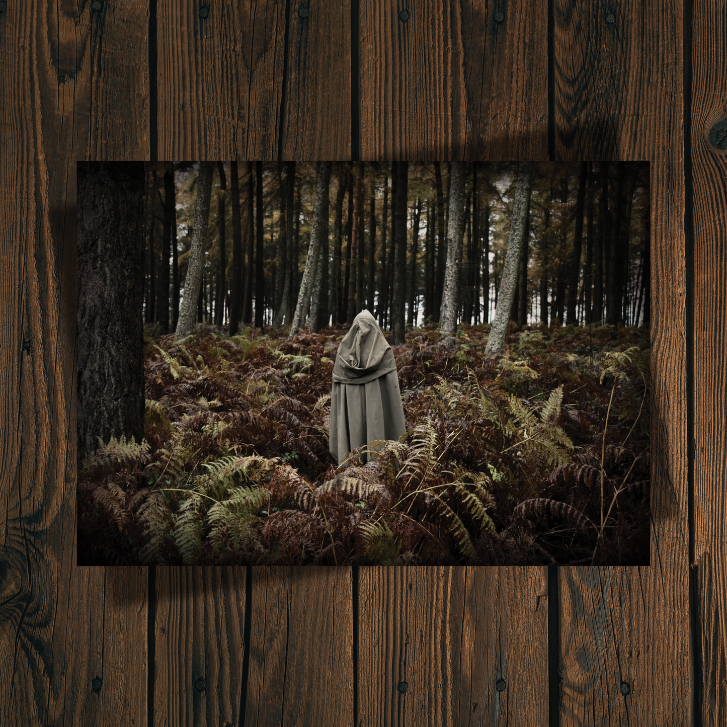 The Wanderer [A4 Print]