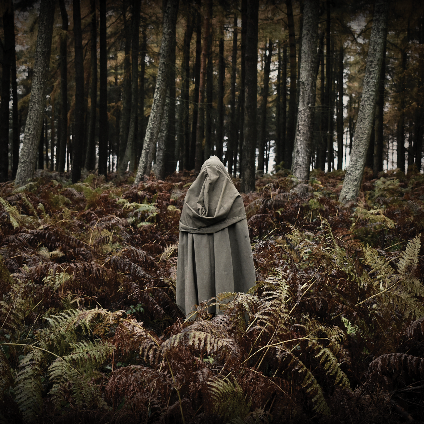 The Wanderer [A4 Print]